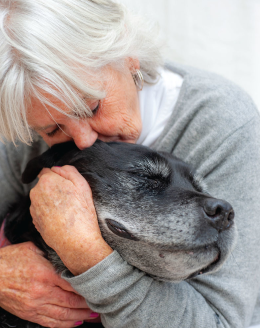 Elderly woman with white hair tenderly nuzzling a gray dog in a warm embrace