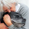 Elderly woman with white hair tenderly nuzzling a gray dog in a warm embrace