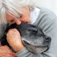 Elderly woman with white hair tenderly nuzzling a gray dog in a warm embrace