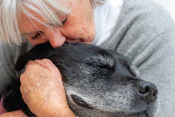 Elderly woman with white hair tenderly nuzzling a gray dog in a warm embrace