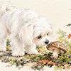 White fluffy dog sniffing a brown mushroom surrounded by moss and garden flowers in watercolor style