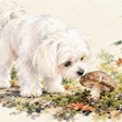 White fluffy dog sniffing a brown mushroom surrounded by moss and garden flowers in watercolor style