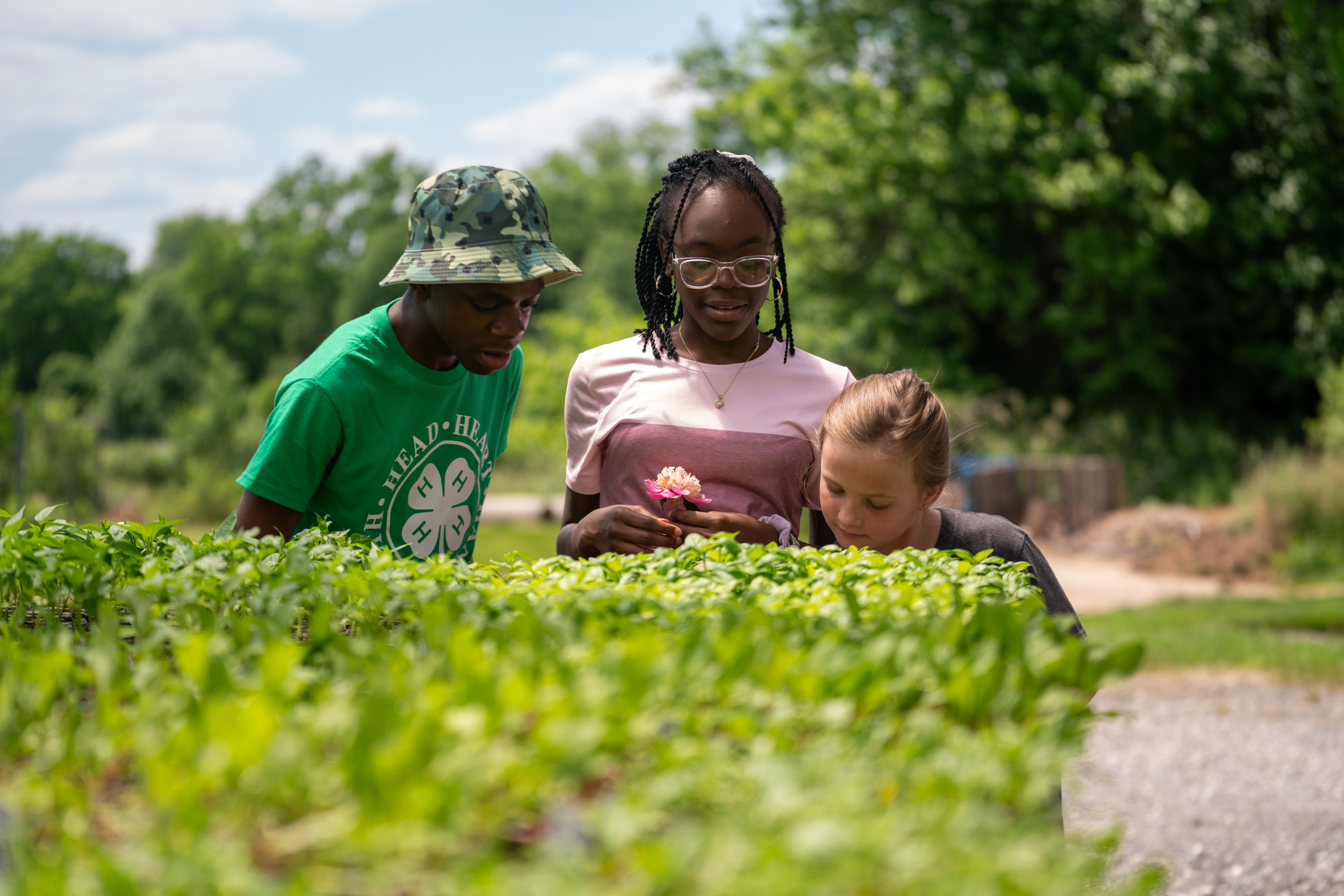 Adult and child examining plants in a sunny garden with lush green foliage in the background