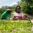 Adult and child examining plants in a sunny garden with lush green foliage in the background