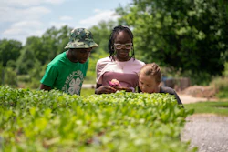 Adult and child examining plants in a sunny garden with lush green foliage in the background