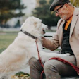 Senior man in beige blazer petting white dog on park bench