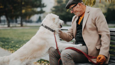 Senior man in beige blazer petting white dog on park bench