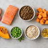 Healthy pet food ingredients including salmon, chicken, blueberries, sweet potato, carrots, oats, and supplements arranged on gray background