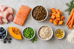Healthy pet food ingredients including salmon, chicken, blueberries, sweet potato, carrots, oats, and supplements arranged on gray background