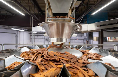 Industrial hopper dispensing dried tobacco leaves into collection bins on factory floor