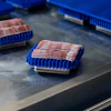 Packaged bacon or cured meat in blue hinged containers on a stainless steel surface in a commercial kitchen or retail setting