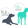Dog life span comparison showing 11.2 years for small-to-mid dogs and 13 years for lean-hid dogs