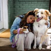Woman smiling while holding a cat and posing with a golden and white dog on a sunny patio