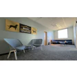 Modern veterinary clinic waiting room with Purina Pro Plan Veterinary signage and contemporary furniture