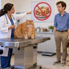 Veterinarian discussing pet nutrition with owner and pets in clinic, with no-pizza dietary sign visible