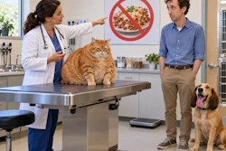 Veterinarian discussing pet nutrition with owner and pets in clinic, with no-pizza dietary sign visible