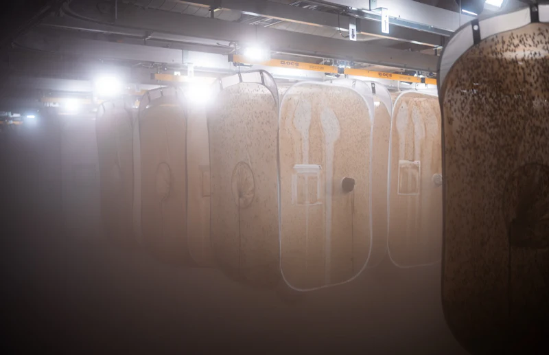 17 Year Insect Volare opens insect protein plant in Finland | PetfoodIndustry